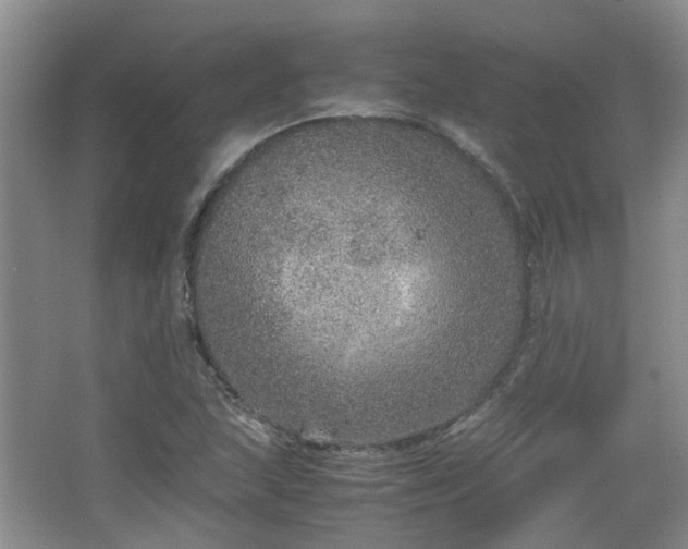 X0000067461215200604101124