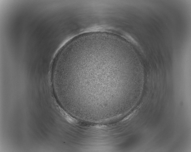 X0000067461216200604101124