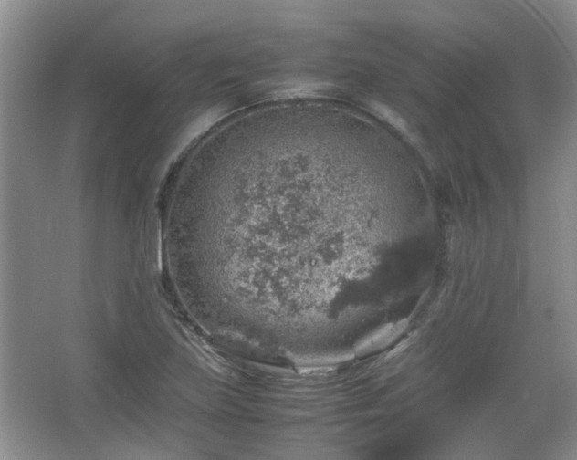 X0000067461219200604101124