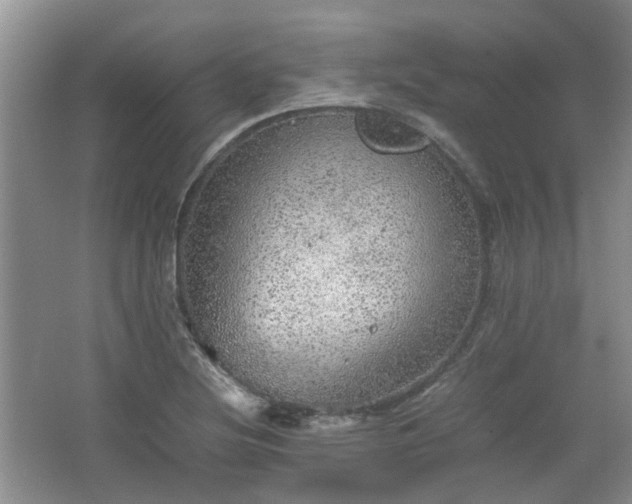 X0000067461220200604101124