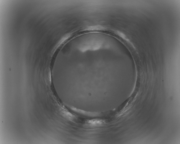 X0000067461221200604101124