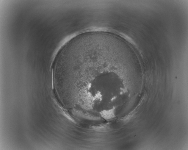 X0000067461223200604101124