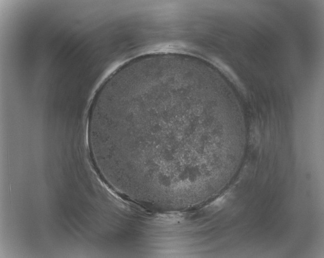 X0000067461224200604101124