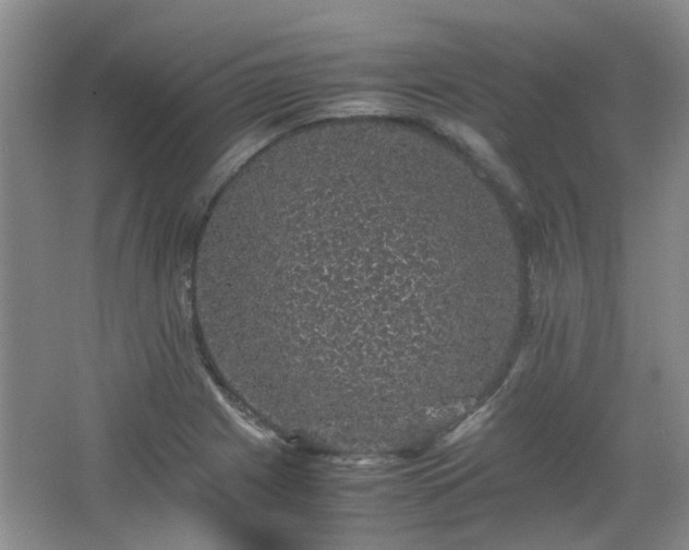 X0000067461225200604101124