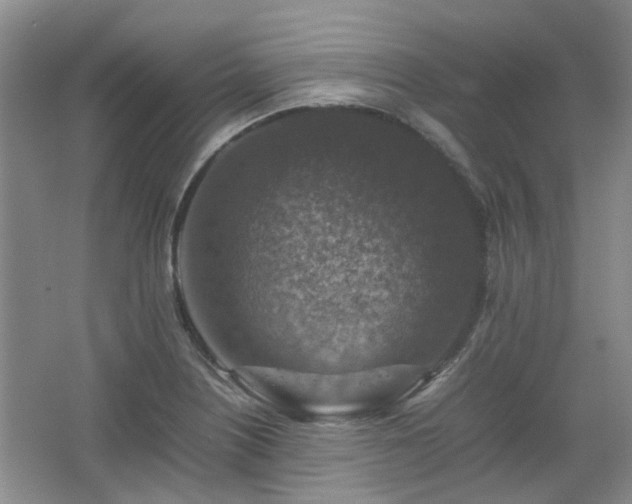 X0000067461226200604101124