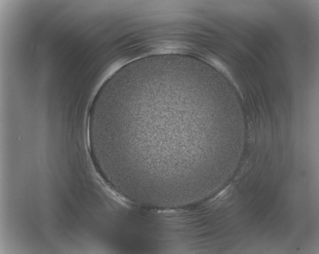 X0000067461227200604101124