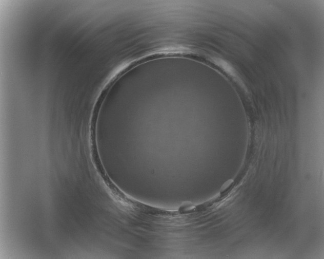 X0000067461229200604101124