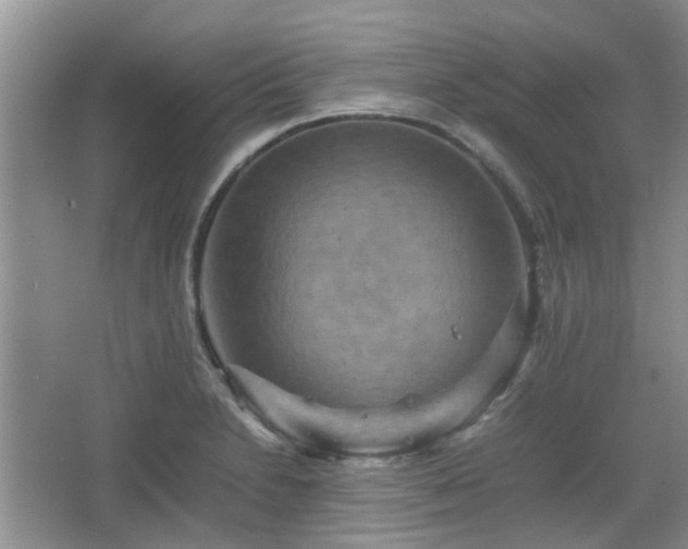 X0000067461230200604101124