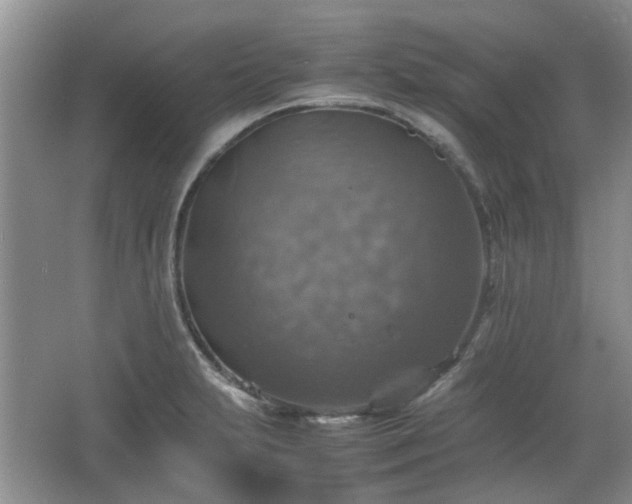 X0000067461231200604101124