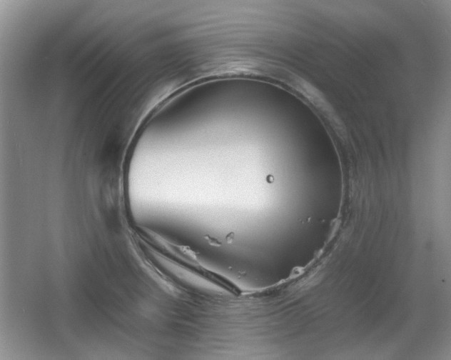 X0000067461234200604101124