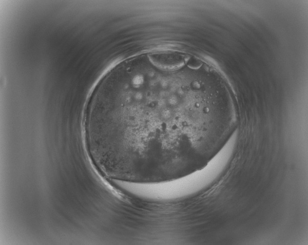 X0000067461235200604101124