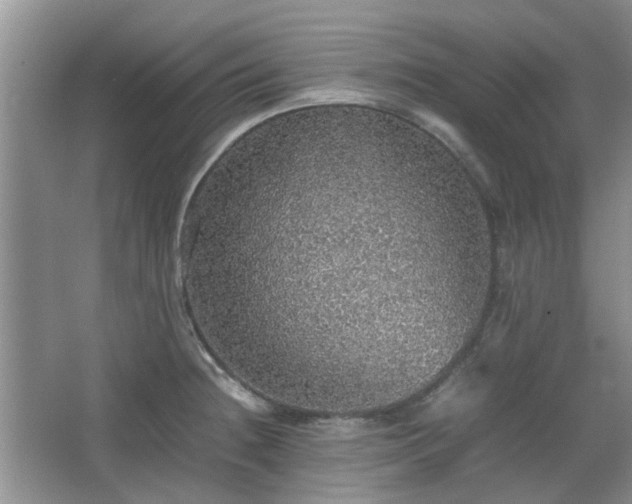 X0000067461236200604101124