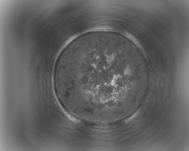 X0000067461237200604101124