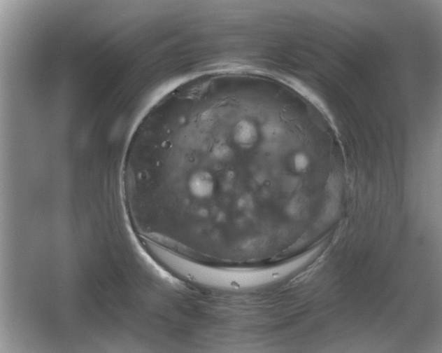 X0000067461239200604101124