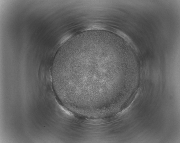 X0000067461241200604101125