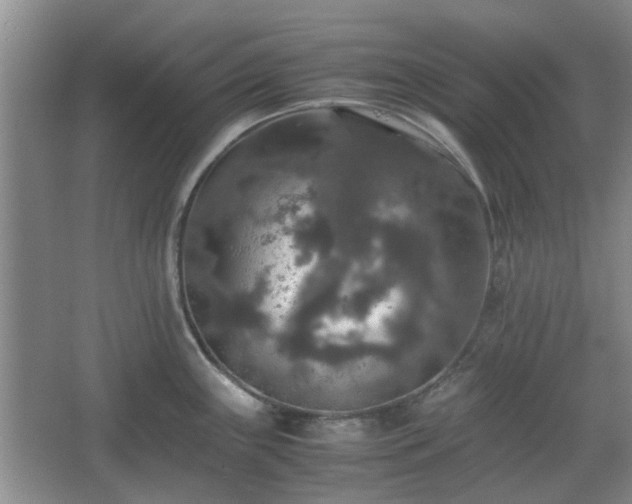 X0000067461243200604101125