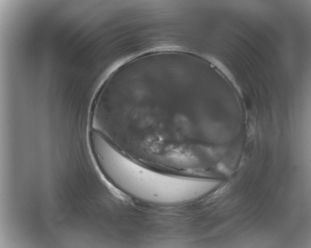 X0000067461245200604101125