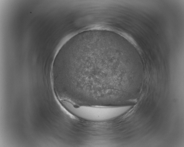 X0000067461247200604101125