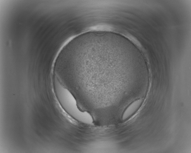 X0000067461248200604101125