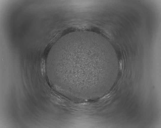 X0000067461251200604101124