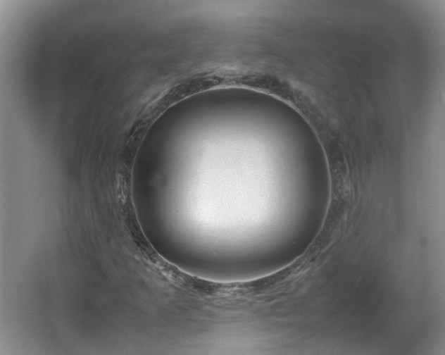 X0000067461253200604101124