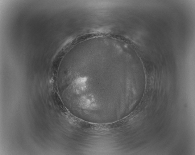 X0000067461254200604101124