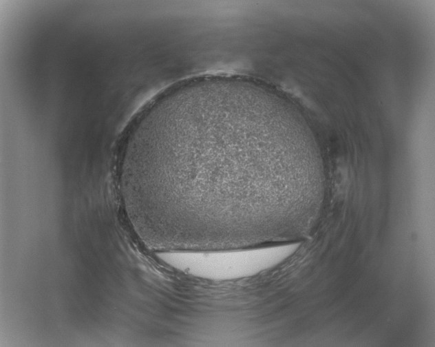 X0000067461256200604101124