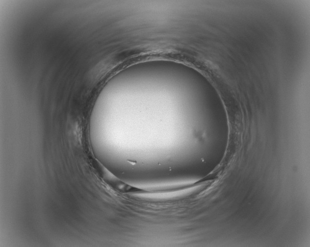 X0000067461257200604101124