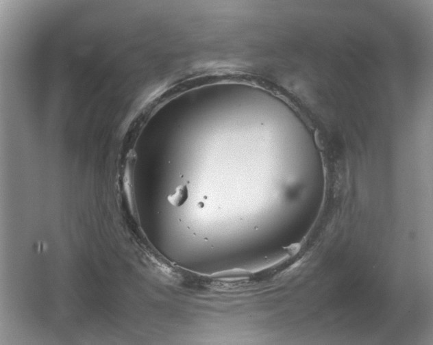 X0000067461261200604101124