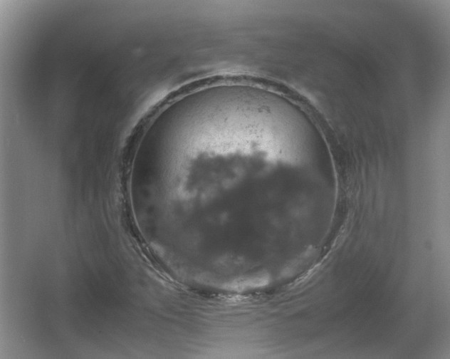 X0000067461263200604101124