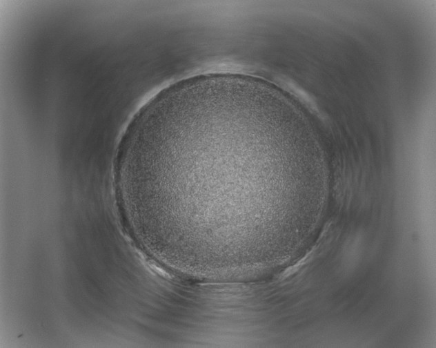 X0000067461264200604101124