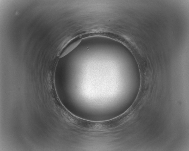 X0000067461265200604101124