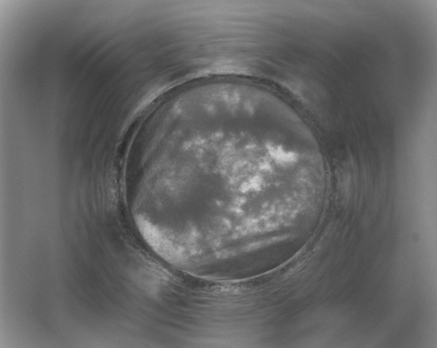 X0000067461266200604101124