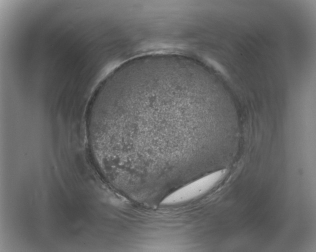 X0000067461267200604101124