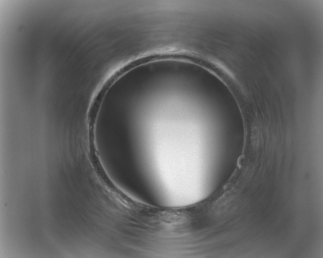 X0000067461270200604101123