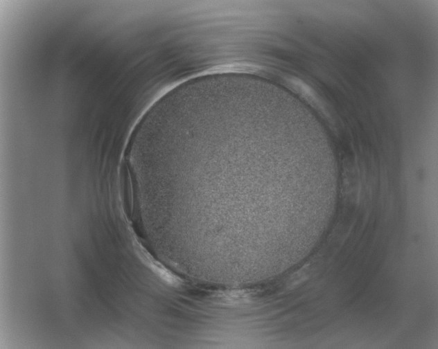 X0000067461276200604101123