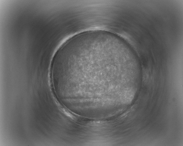 X0000067461278200604101123