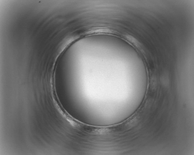 X0000067461282200604101123