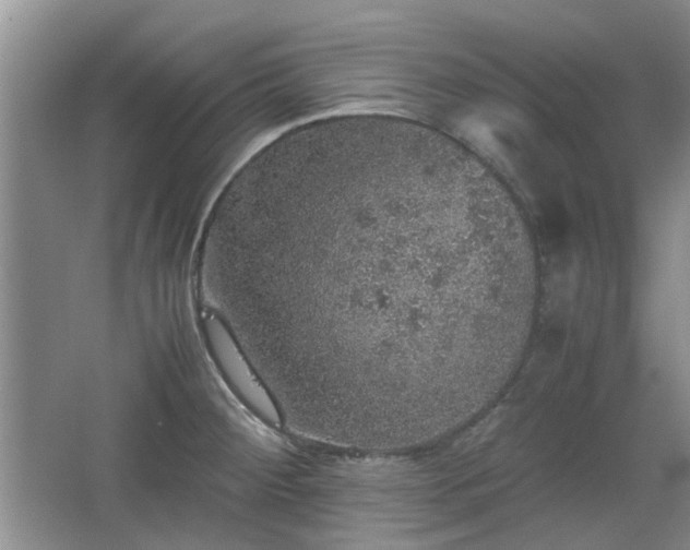 X0000067461284200604101123