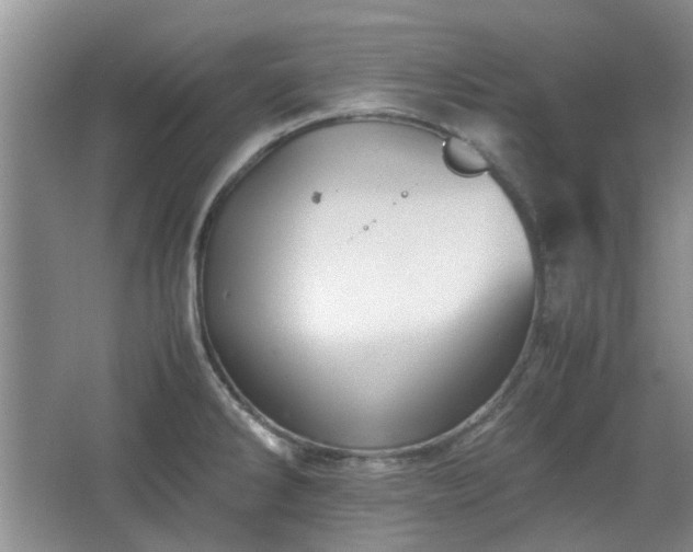 X0000067461286200604101123