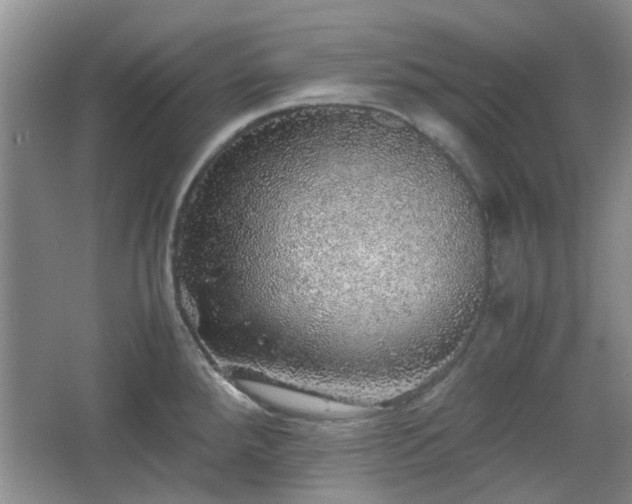 X0000067461288200604101123