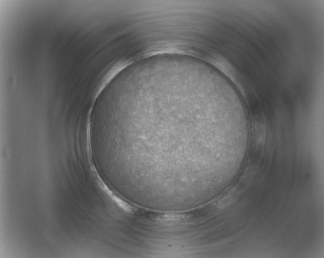 X0000067461290200604101123