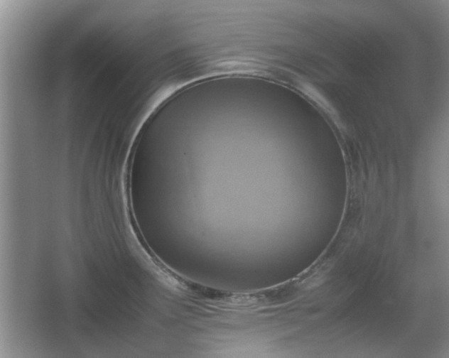 X0000067461291200604101123