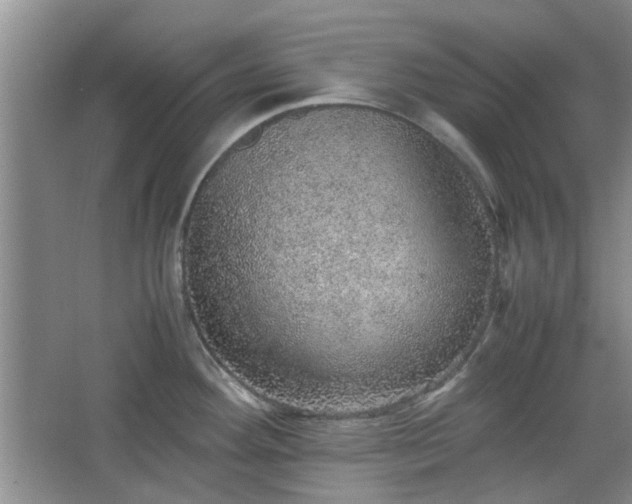 X0000067461292200604101123