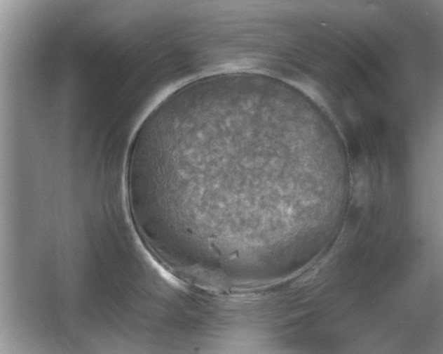 X0000067461294200604101123