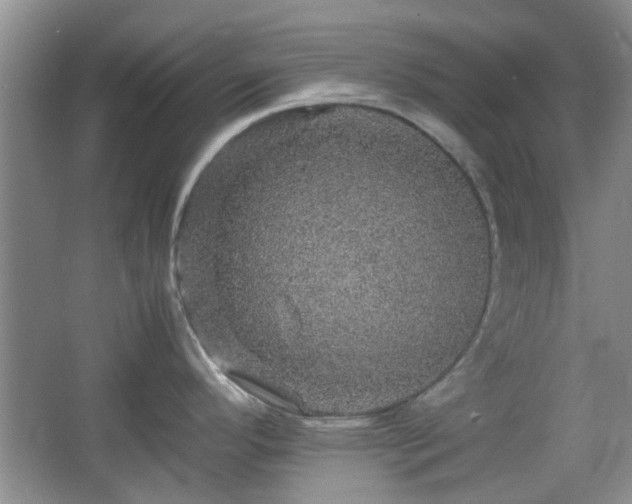 X0000067461296200604101123