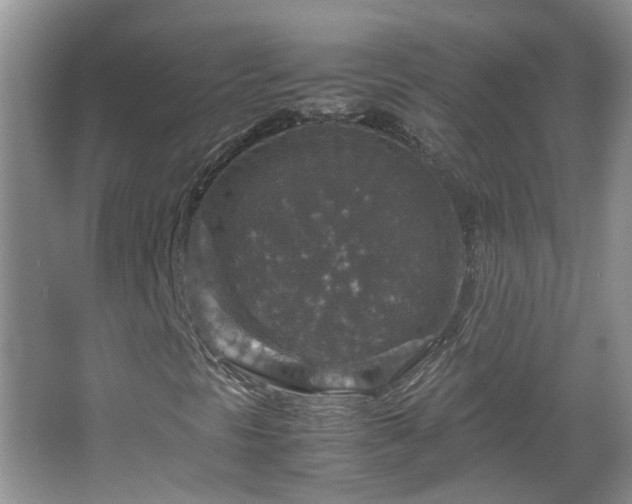 X0000067461297200604101122