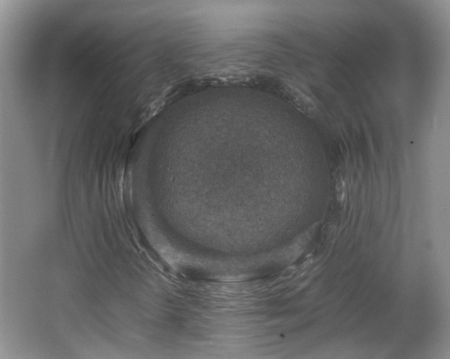 X0000067461298200604101122