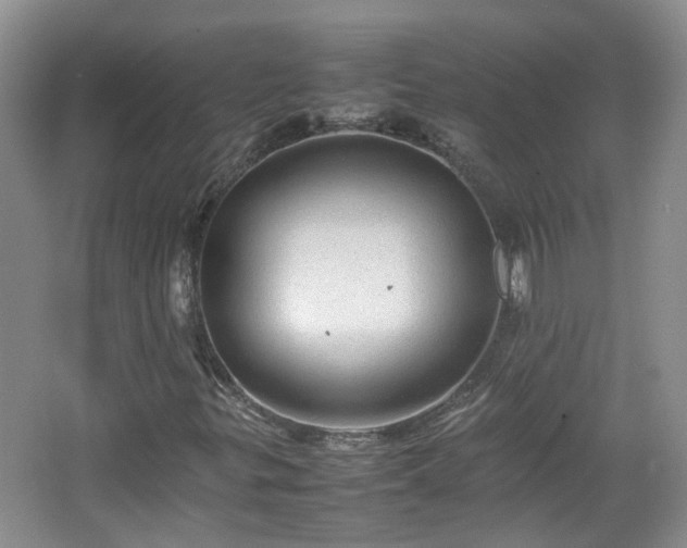 X0000067461299200604101122