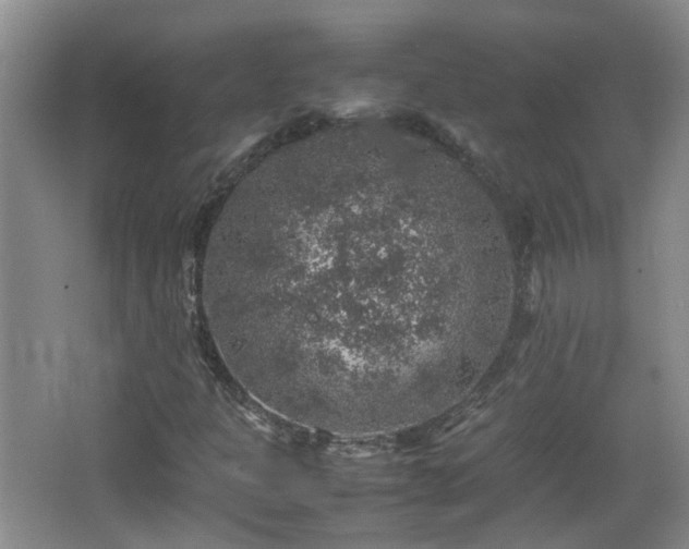 X0000067461301200604101122